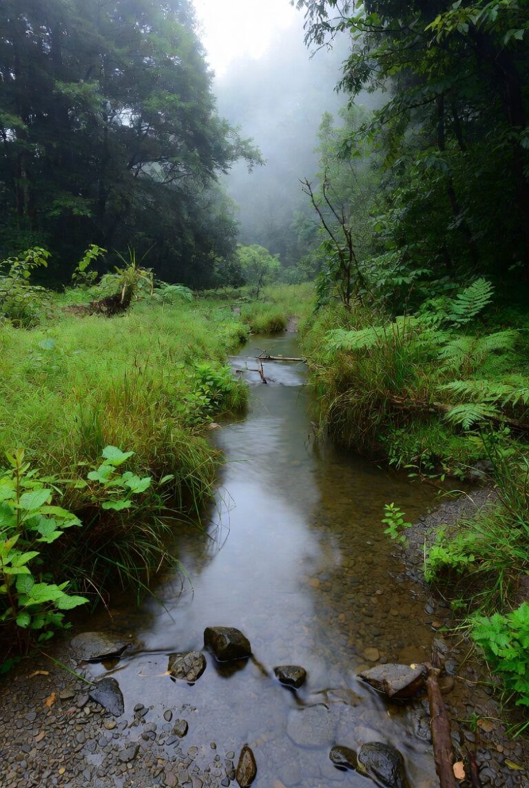 Perubahan Iklim, Konservasi Alam, dan Isu Lingkungan: Alarm Global Meningkat di Maret 2026